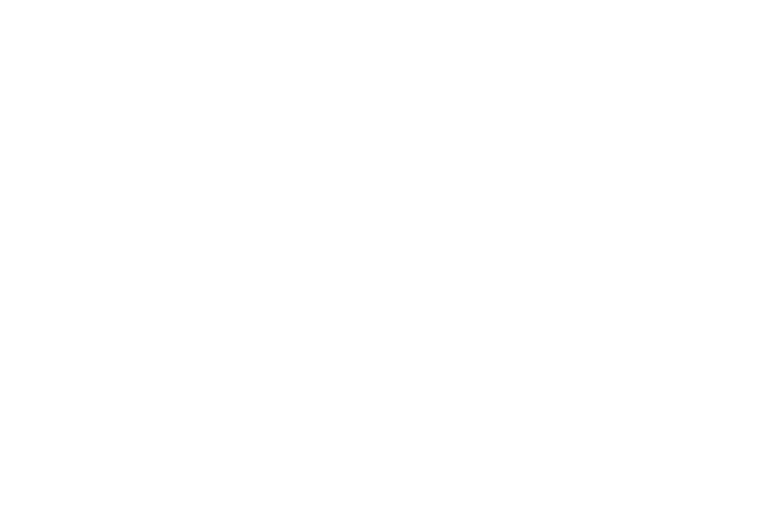 Standard logo inverse